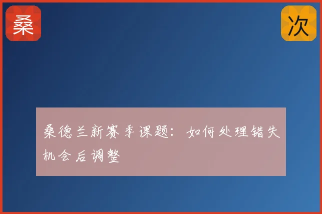 桑德兰新赛季课题：如何处理错失机会后调整